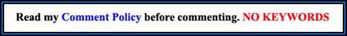comment policy for website